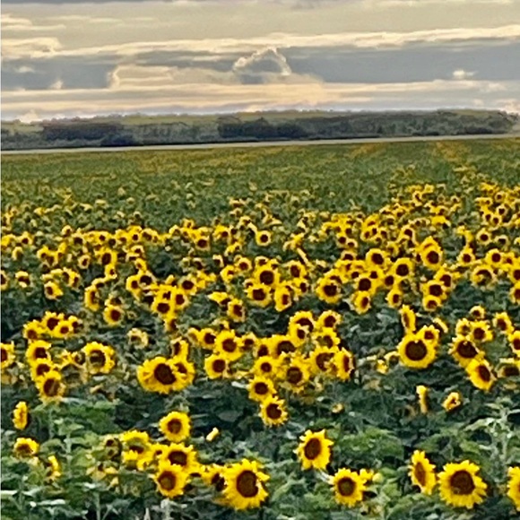 Meet your Posher, Paige - Picture 1 of 1